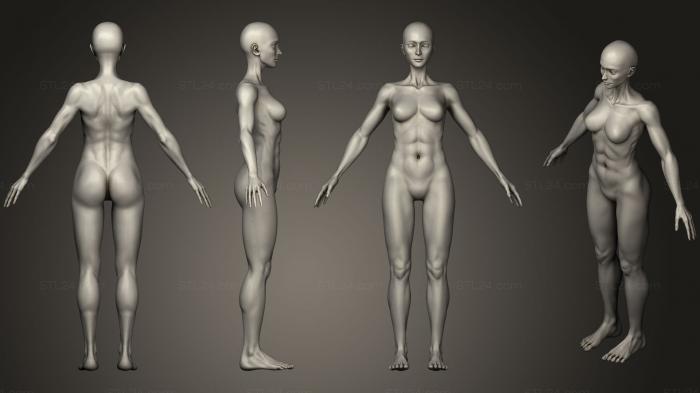 Анатомия скелеты и черепа (Женское тело, ANTM_0444) 3D модель для ЧПУ станка